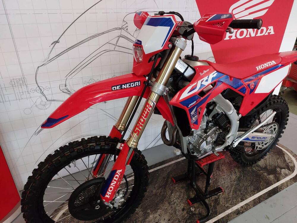 Honda CRF 250 RX Enduro (2024) (5)