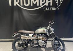 Triumph Scrambler (2006 - 17) usata