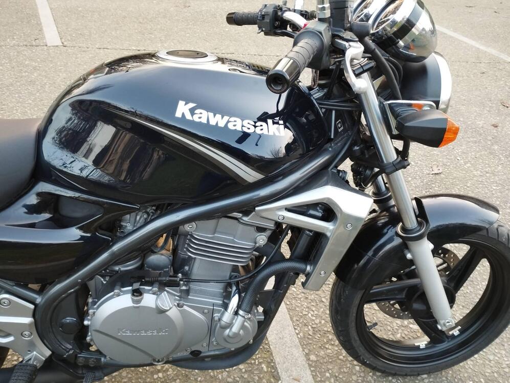 Kawasaki ER-5 500 (2001 - 06) (5)