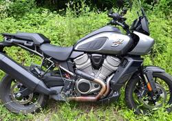 Harley-Davidson Pan America 1250 (2020 - 24) usata