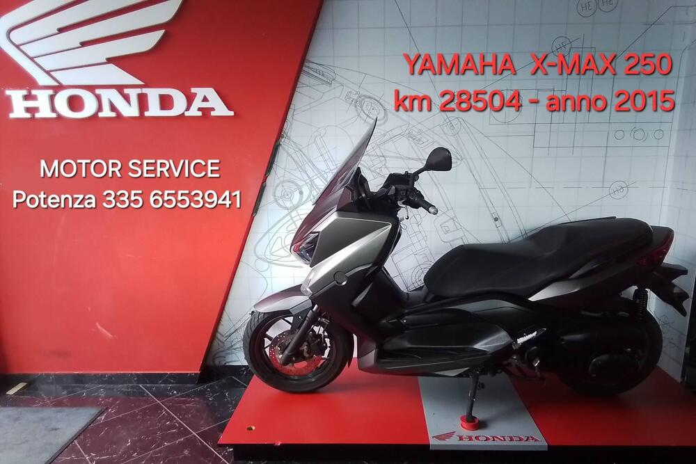 Yamaha X-Max 250 (2014 - 16) (2)