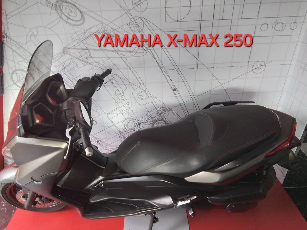 Yamaha X-Max 250 (2014 - 16) (3)