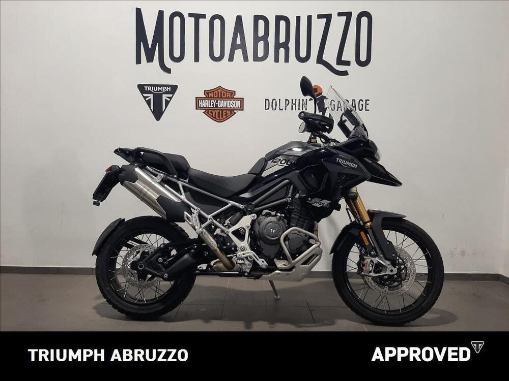 Triumph Tiger 1200 Rally Pro (2024) (4)