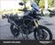 Triumph Tiger 1200 Rally Explorer (2024) (14)