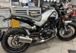 Benelli Leoncino 500 Trail ABS (2017 - 20) usata