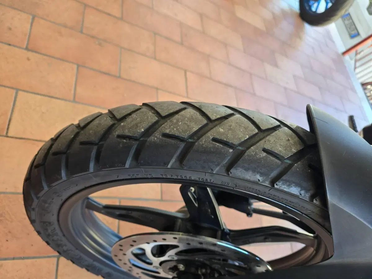 Bmw G 310 GS (2021 - 25) (7)