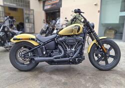 Harley-Davidson Street Bob 114 (2021 - 25) usata