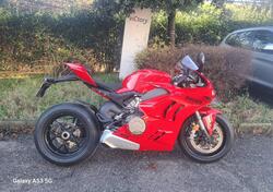 Ducati Panigale V4 (2022 - 24) usata