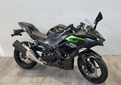 Kawasaki Ninja 500 (2024 - 25) nuova