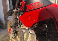 Yamaha XT 600 (1984 - 98) usata