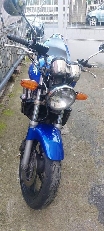 Honda Hornet 600 (2000 - 02) (2)