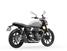 Triumph Speed Twin 900 (2025) (6)