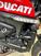 Ducati Monster 937 30° Anniversario (2023 - 24) (17)