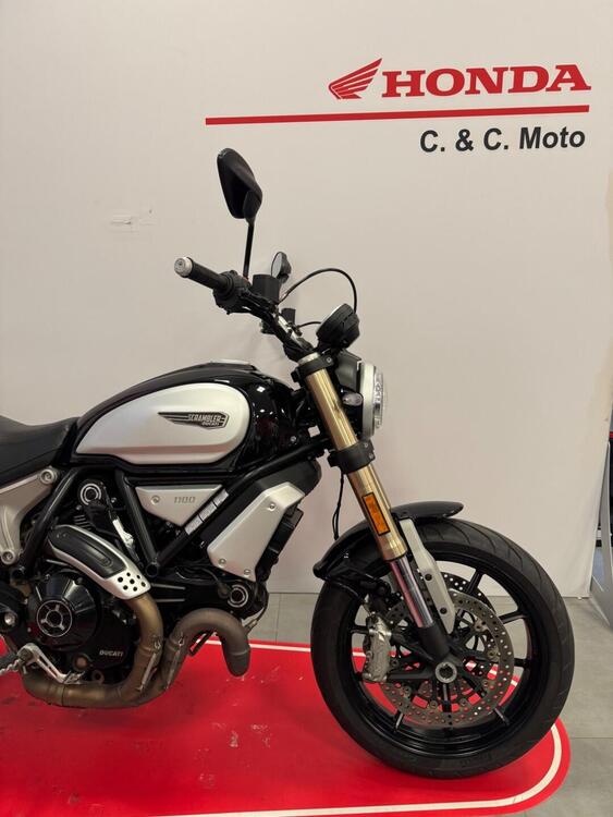 Ducati Scrambler 1100 (2018 - 20) (2)