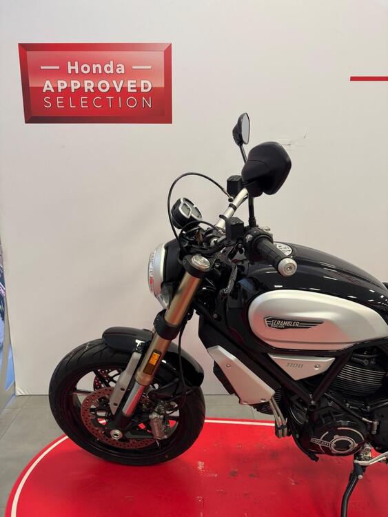 Ducati Scrambler 1100 (2018 - 20) (5)