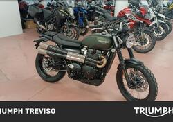 Triumph Scrambler 900 (2023 - 24) usata