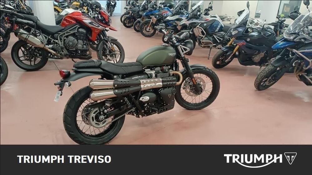 Triumph Scrambler 900 (2023 - 25) (2)