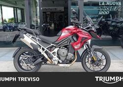 Triumph Tiger 1200 GT Pro (2024) usata