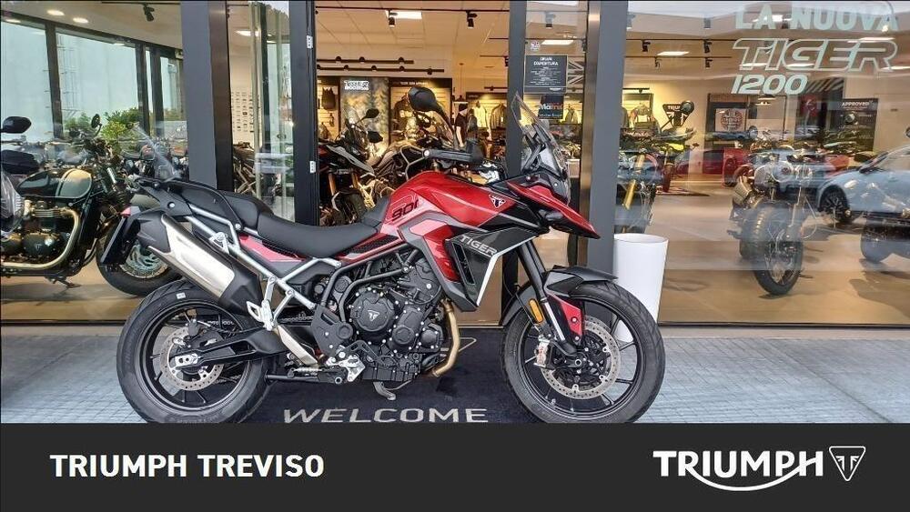 Triumph Tiger 900 GT Pro (2024)