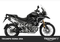 Triumph Tiger 1200 Rally Explorer (2024) usata