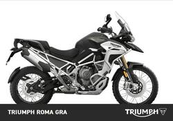 Triumph Tiger 1200 Rally Explorer (2024) usata