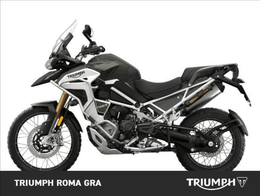 Triumph Tiger 1200 Rally Explorer (2024) (2)