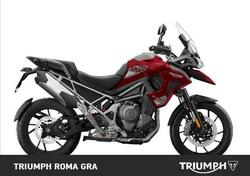 Triumph Tiger 1200 GT Pro (2024) nuova