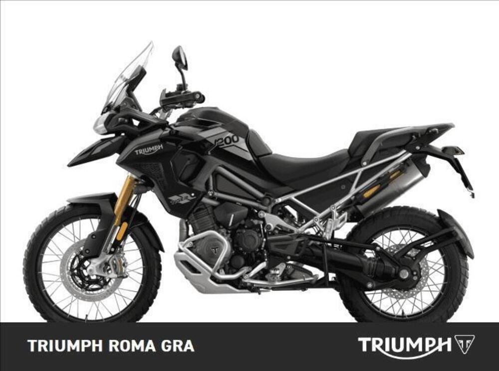 Triumph Tiger 1200 Rally Pro (2024 - 25) (2)