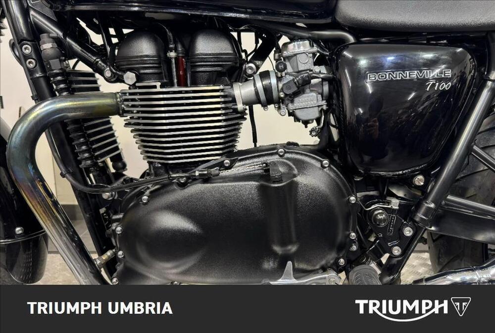 Triumph Bonneville T100 (2008 - 16) (5)