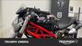 Ducati Monster 796 (2010 - 13) (6)