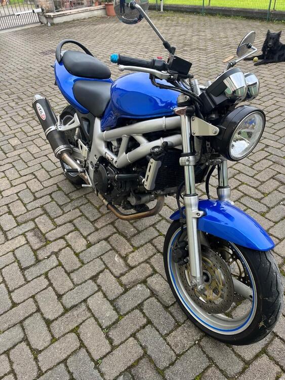 Suzuki SV 650 (1999 - 02) (4)