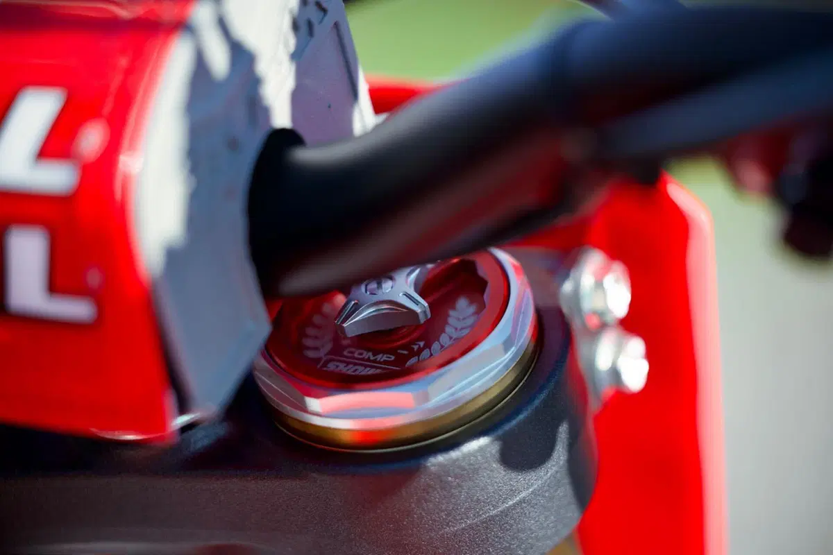 Honda CRF250 R Works Edition: una moto ufficiale per noi appassionati  (5)
