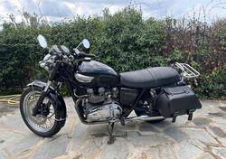 Triumph Bonneville T100 (2001 - 07) usata