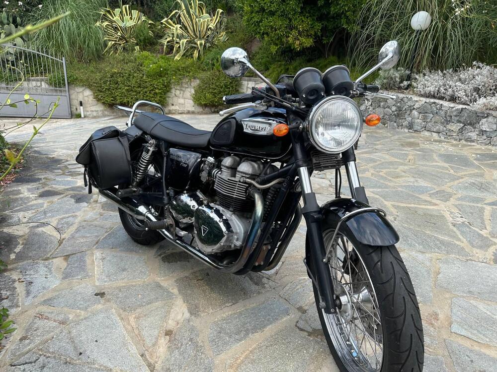 Triumph Bonneville T100 (2001 - 07) (3)