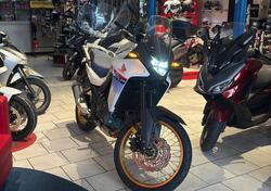 Honda Transalp XL750 (2023 - 24) usata