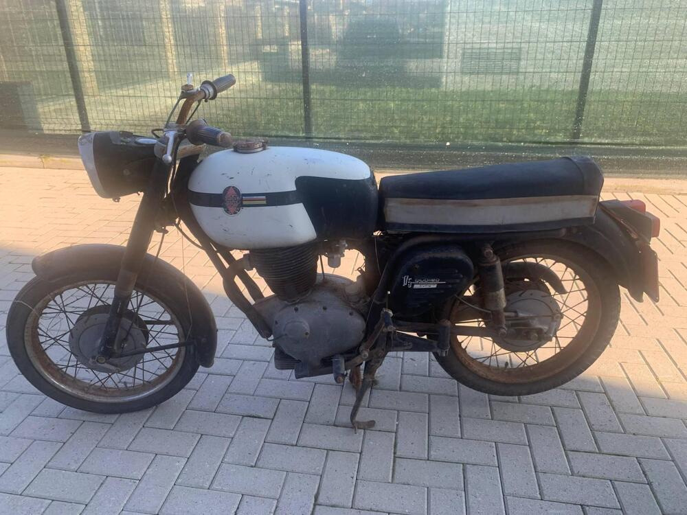 Gilera Giubileo 175 (2)