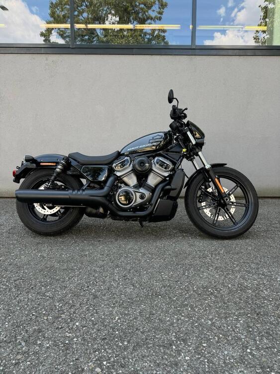 Harley-Davidson Nightster (2023 - 24)