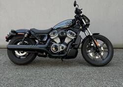 Harley-Davidson Nightster (2023 - 24) nuova