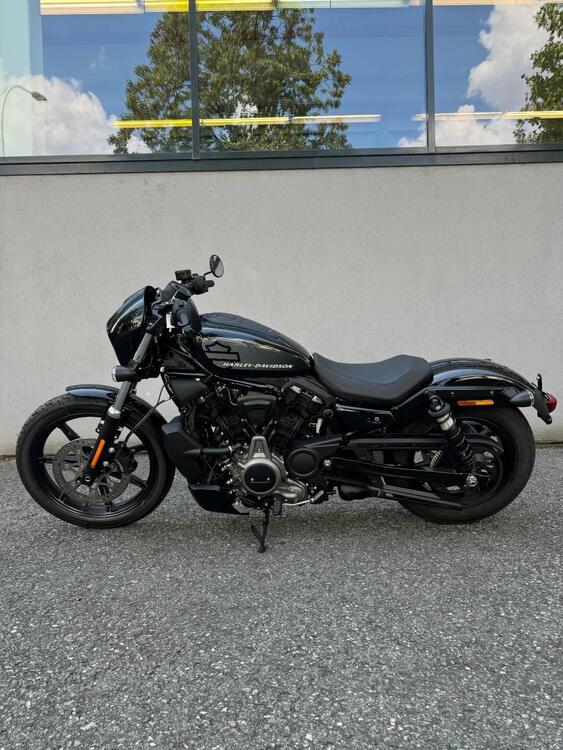 Harley-Davidson Nightster (2023 - 24) (3)