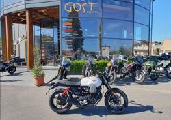 Moto Guzzi V7 Stone Ten (2024) nuova