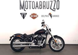 Harley-Davidson Softail Standard (2021 - 24) usata