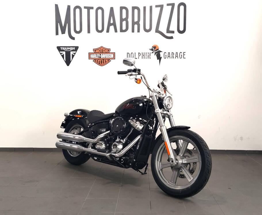 Harley-Davidson Softail Standard (2021 - 24) (3)