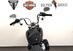 Harley-Davidson Softail Standard (2021 - 24) (8)