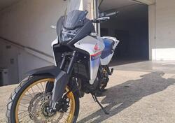 Honda Transalp XL750 (2023 - 24) usata