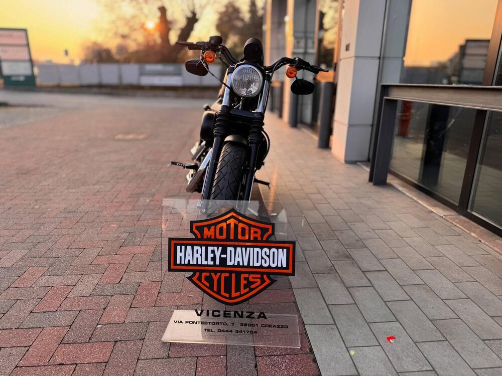 Harley-Davidson 883 Iron (2012 - 14) - XL 883N (3)