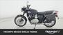 Triumph Bonneville T100 (2021 - 24) (7)