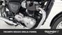 Triumph Bonneville T100 (2021 - 24) (20)