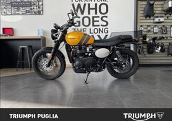 Triumph Scrambler 900 (2023 - 24) usata