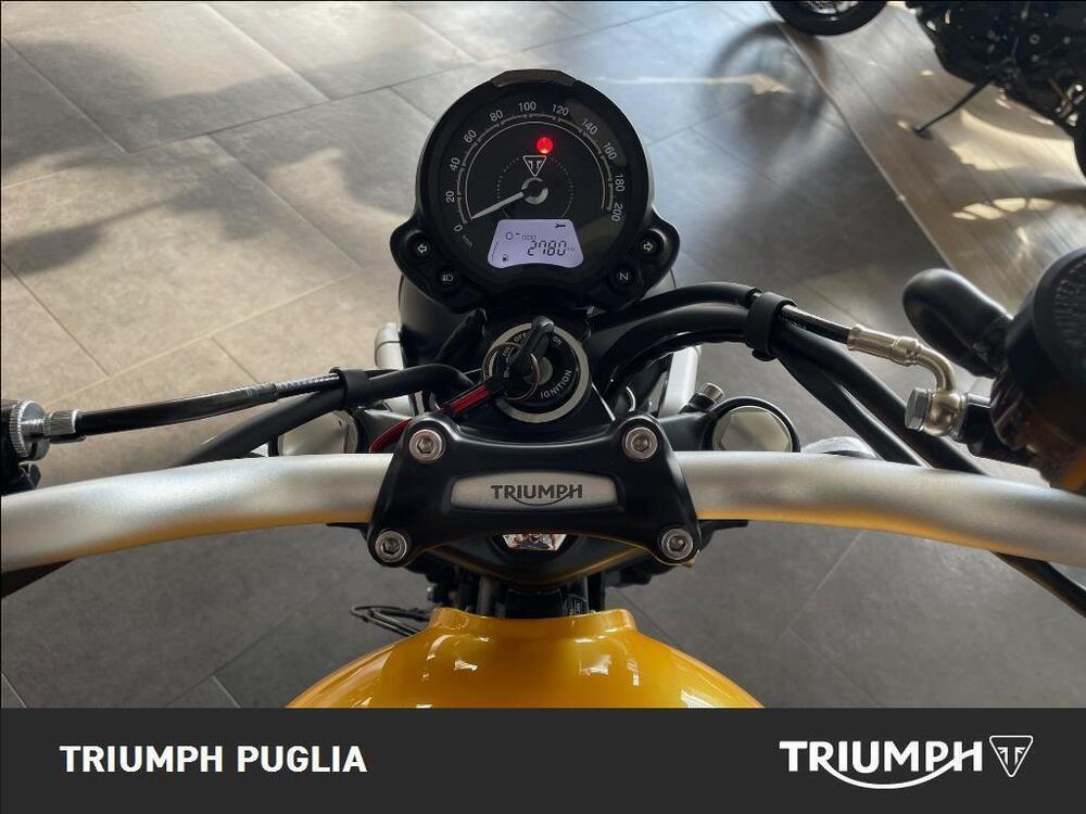 Triumph Scrambler 900 (2023 - 24) (3)