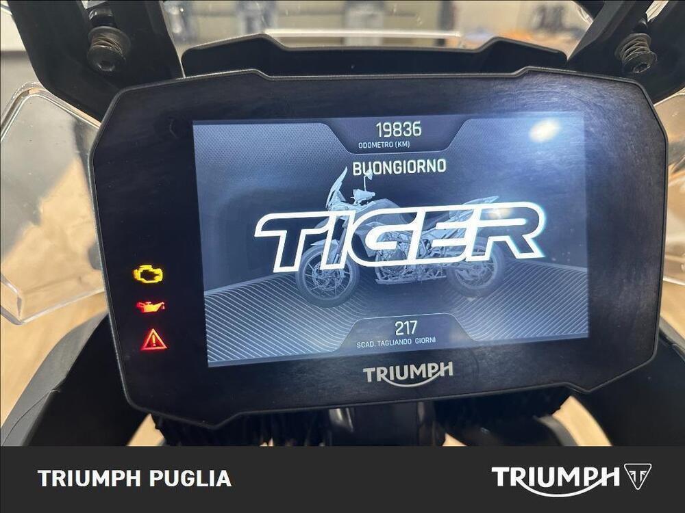 Triumph Tiger 900 GT (2020 - 23) (2)